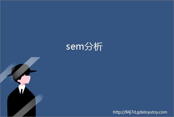 sem分析